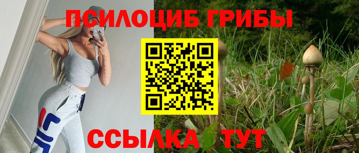Волжский  Псилоцибиновые грибы мицелий  Вход с VPN 